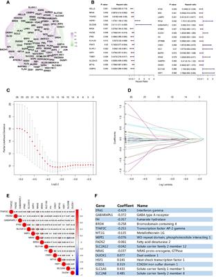 Development and Verification of a Prognostic Ferroptosis-Related Gene Model in Triple-Negative Breast Cancer